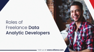 Roles of Freelance Data Analytic Developers