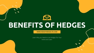 Instant Benefits of Ready Hedges For Lawn