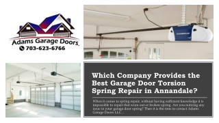 Which Company Provides the Best Garage Door Torsion Spring Repair in Annandale?