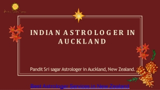 Best astrologer in Husband and wife Disputes in New Zealand