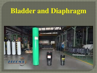 Bladder and Diaphragm