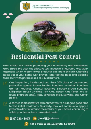 Hammond Termite Control | Lafayette Pest Control
