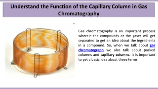 Understand the Function of the Capillary Column in Gas Chromatography