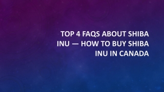 Top 4 FAQs About Shiba Inu — How to Buy Shiba Inu in Canada