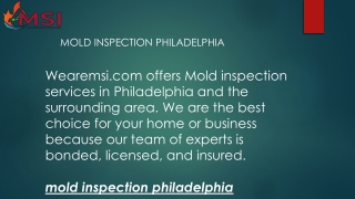 Mold Inspection Philadelphia  Wearemsi.com