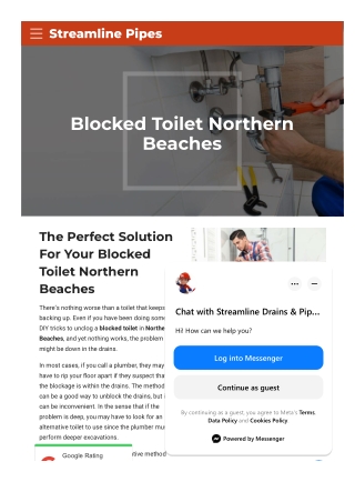 Blocked Toilet Northern Beaches