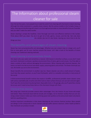 The Information about professional steam cleaner for sale
