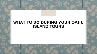 What to Do During Your Oahu Island Tours