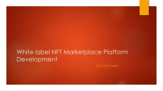 White label NFT Marketplace Platform Development5
