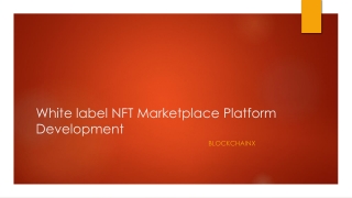 White label NFT Marketplace Platform Development5