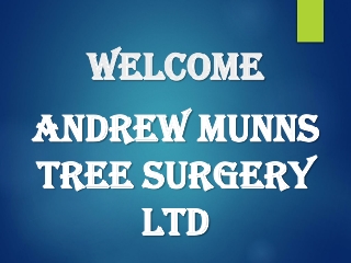 Find the best Tree Surgeon in Stanford In The Vale