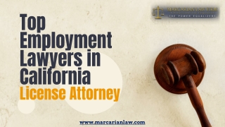 Top Employment Lawyers in California - License Attorney