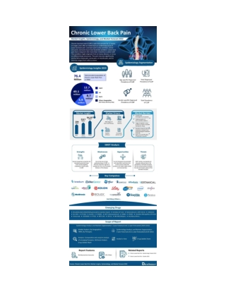 Chronic Lower Back Pain Infographic Market Infographic