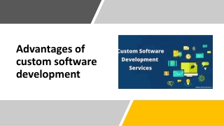 Custom Software Development Company in Chandigarh