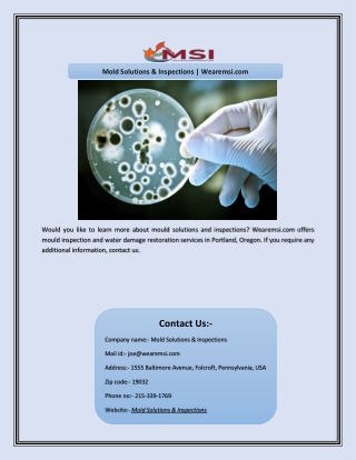 Mold Solutions & Inspections | Wearemsi.com