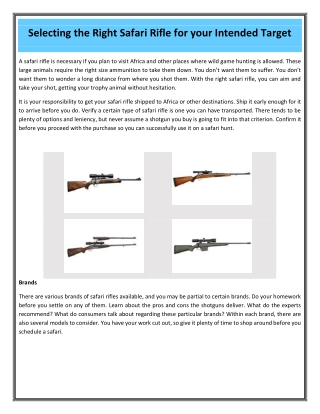 Selecting the Right Safari Rifle for your Intended Target