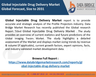 Global Injectable Drug Delivery Market