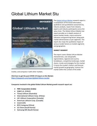 Global Lithium Market Study