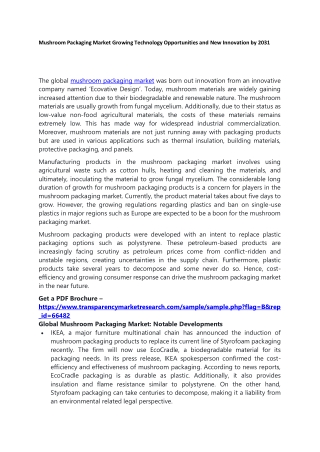 Mushroom Packaging Market Growing Technology Opportunities and New Innovation by
