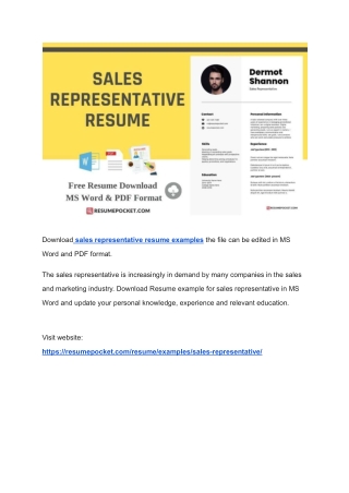 Sales Representative Resume Examples