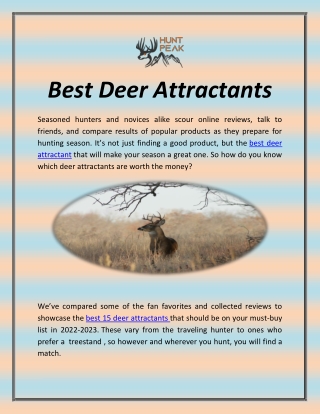 Best Deer Attractants