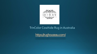 Tri-Color Cowhide Rug in Australia