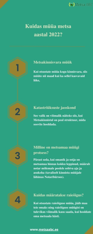 Kuidas müüa metsa aastal 2022