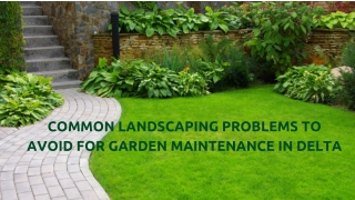 Common Landscaping Problems To Avoid For Garden Maintenance In Delta