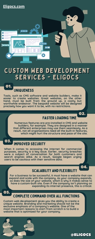 Best Custom Web Development Services - Eligocs