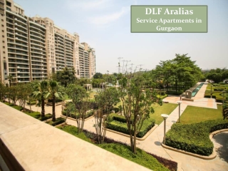Service Apartments in DLF Aralias Gurgaon