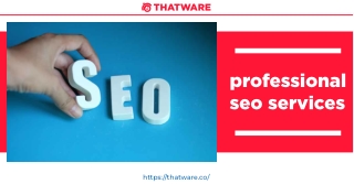 Avail The Top Professional SEO Services For Your Small Business - ThatWare