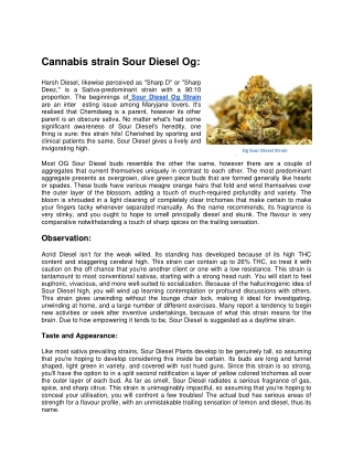 Cannabis strain Sour Diesel Og