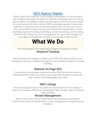 SEO Agency Naples