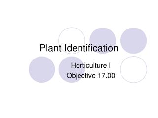 Plant Identification