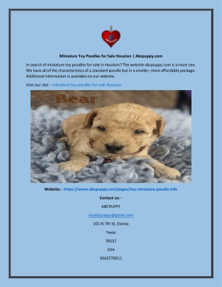 Miniature Toy Poodles For Sale Houston  Abcpuppy