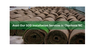 AVAIL OUR SOD INSTALLATION SERVICES IN CHARLOTTE NC