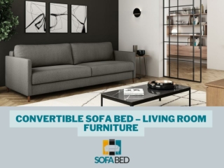 Convertible Sofa Bed – Living Room Furniture