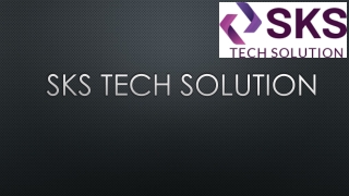 Delaware SEO Company at an Affordable Price.