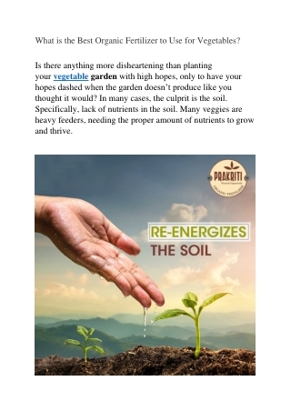 What is the Best Organic Fertilizer to Use for Vegetables