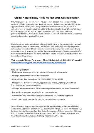 2021 Natural Fatty Acids Industry Global Analysis Report