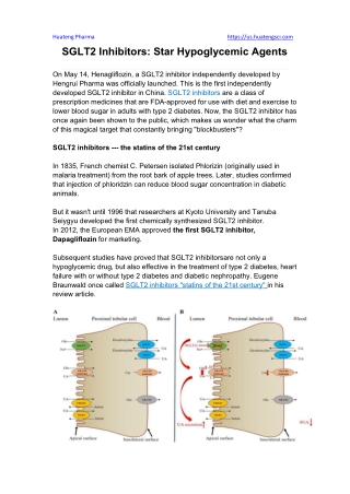 SGLT2 Inhibitors Star Hypoglycemic Agents