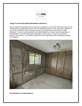 Things To Know About Mold Remediation Orlando FL