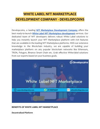 WHITE LABEL NFT MARKETPLACE DEVELOPMENT COMPANY - DEVELOPCOINS