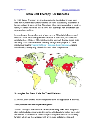 Stem Cell Therapy For Diabetes