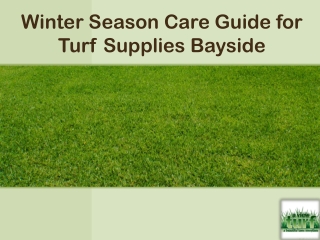 Winter Season Care Guide For Turf Supplies Bayside