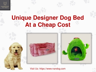 Unique Designer Dog Bed At a Cheap Cost