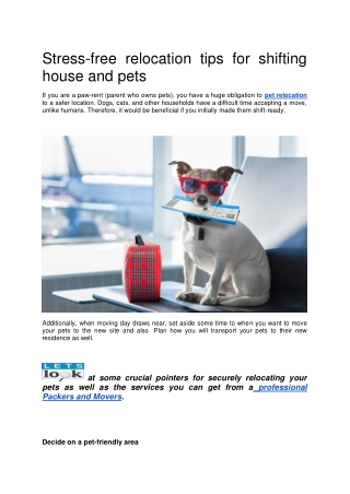 Pet Relocation Services India - HappyLocate