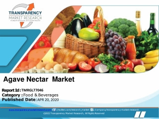 Agave Nectar Market