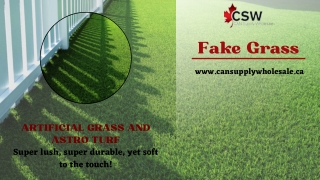 Select the Best Quality Fake & Artificial Grass for Your Sweet Home