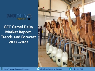 GCC Camel Dairy Market Growth 2022: Price Trends, Industry Analysis, Size, Share